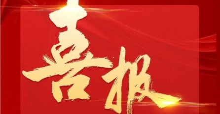 中達(dá)集團(tuán)及多家子公司上榜2024年嘉興民營(yíng)企業(yè)百?gòu)?qiáng)榜單！